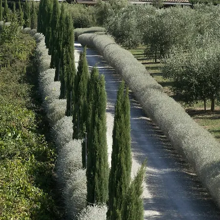 Rossa Farm stay